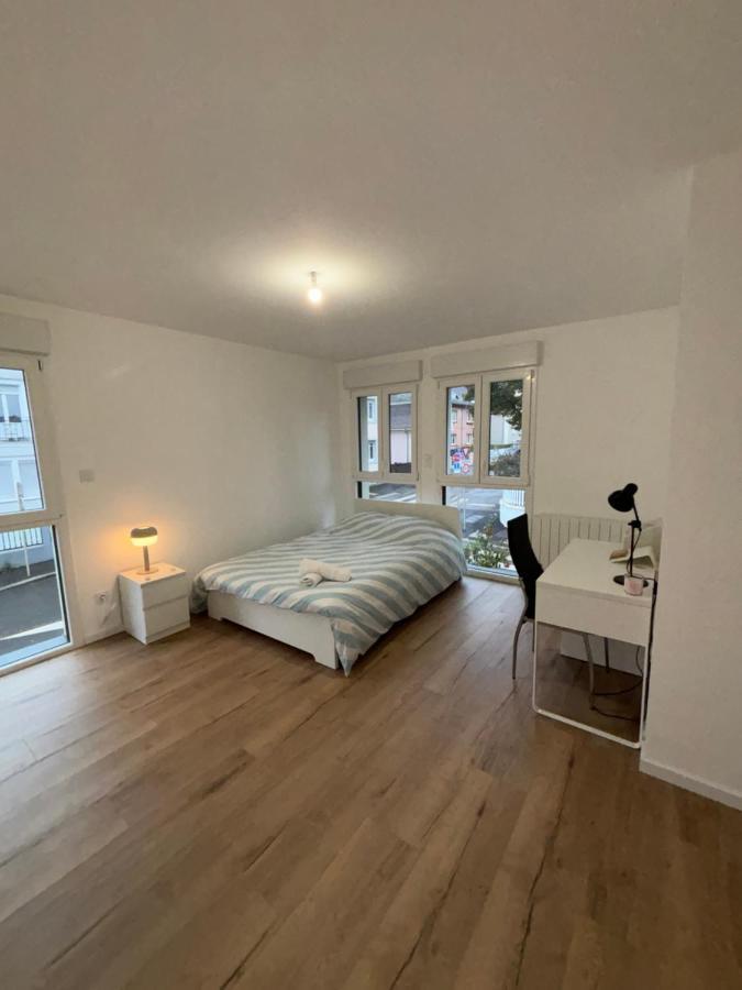 Appartement + Parking + Terrasse 뮐루즈 외부 사진
