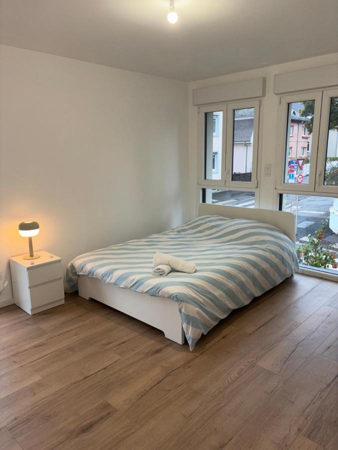 Appartement + Parking + Terrasse 뮐루즈 외부 사진