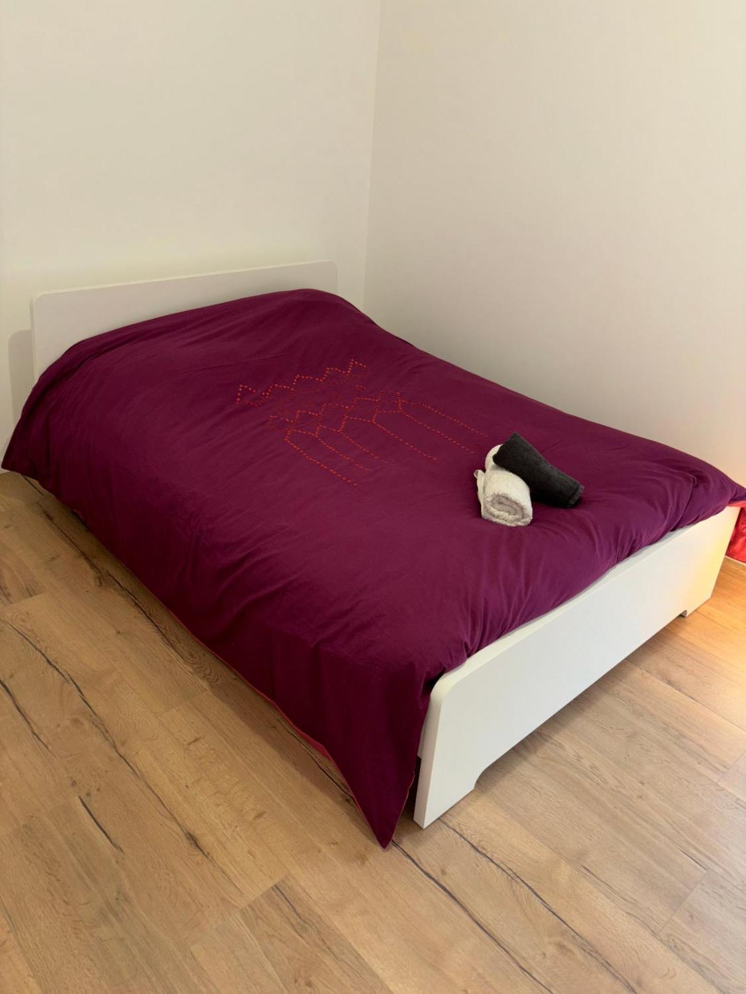 Appartement + Parking + Terrasse 뮐루즈 외부 사진